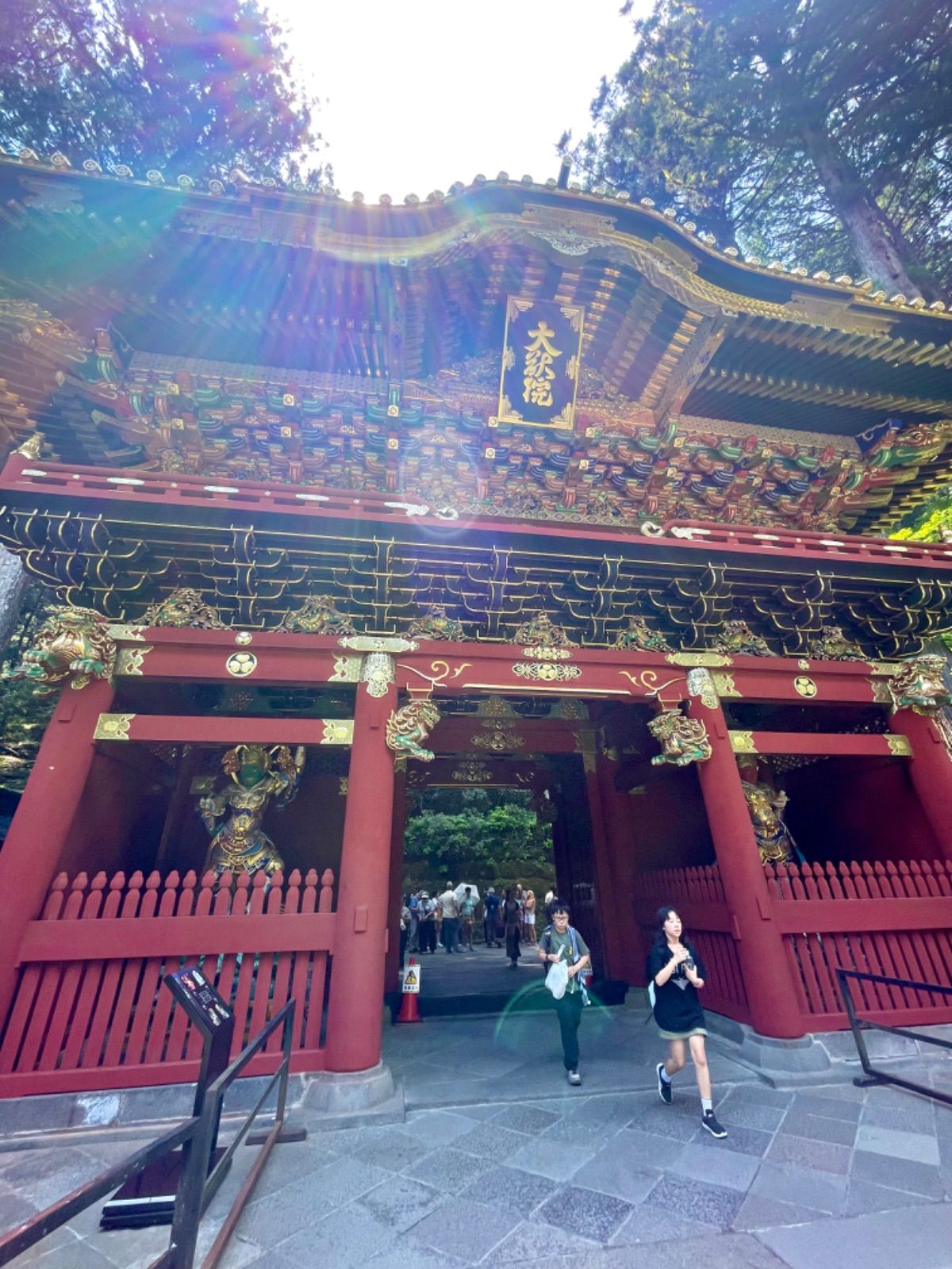 日光山 輪王寺 護摩堂 御朱印帳 ｢大昇竜｣Nikko-san Rinnouji-temple : Gomadou Gosyuincyou｢DAISYOURYU｣