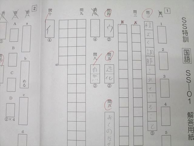 SAPIX サピックス SS特訓 国語 SS-01〜10/12〜14 テスト計13回分セット