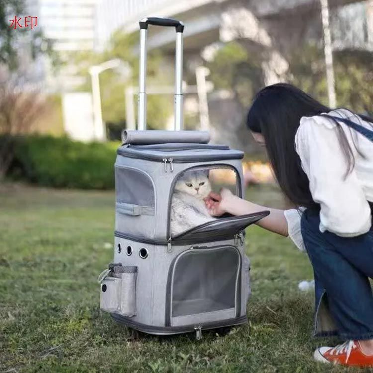 多頭飼い
