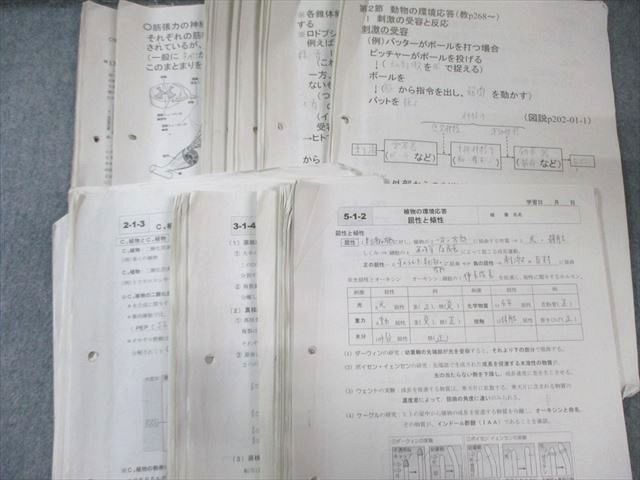 茨城県立竹園高校 高3多数 生物 教科書・プリントセット 定期考査付き 2024年3月卒業 055M9D 茨城県立竹園高校 高3多数 生物 教科書・プリントセット 定期