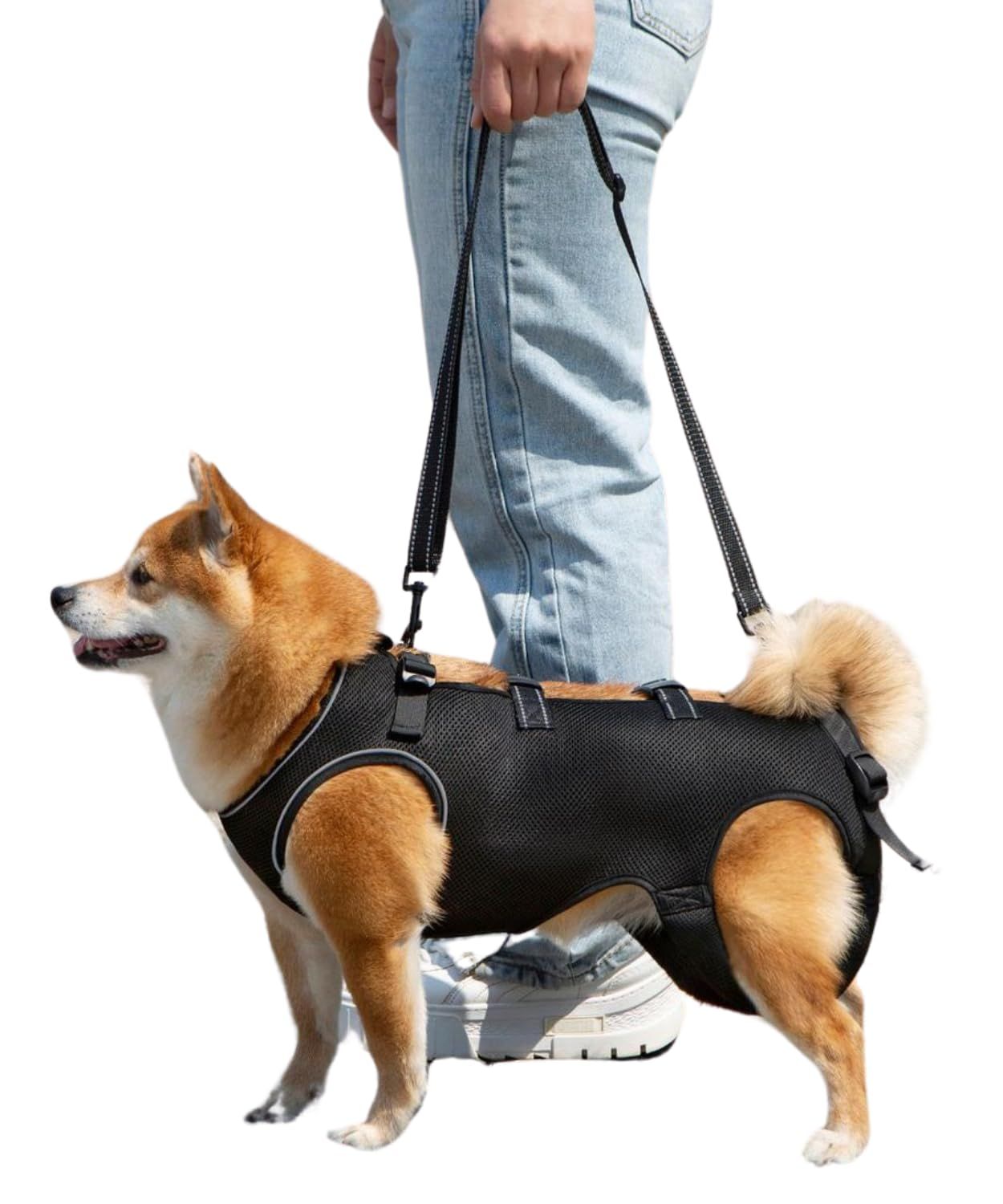 歩行が楽】 介護用ハーネス 犬 ハーネス 介護 歩行補助 老犬 歩行が楽】 介護用ハーネス 犬 ハーネス 介護 歩行補助 老犬