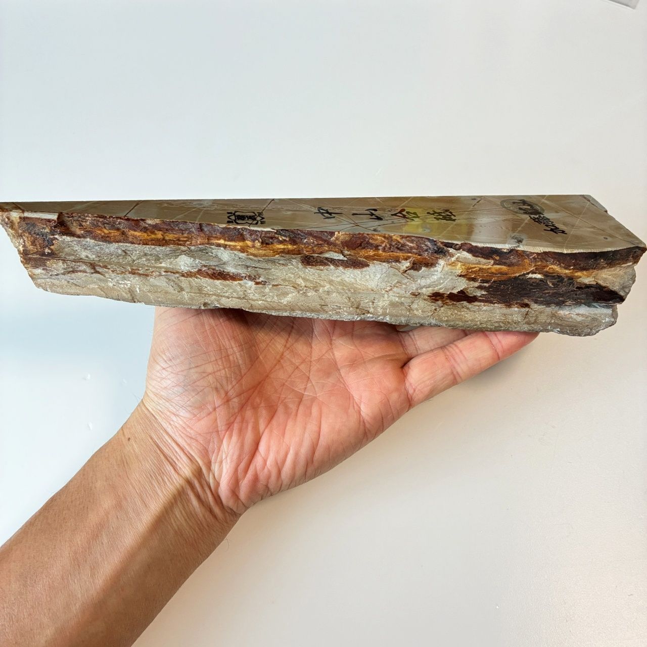 860g 硬さ3 巣板 中山合砥 正本山 京都 天然砥石 HRDEVELOPMENT_JP