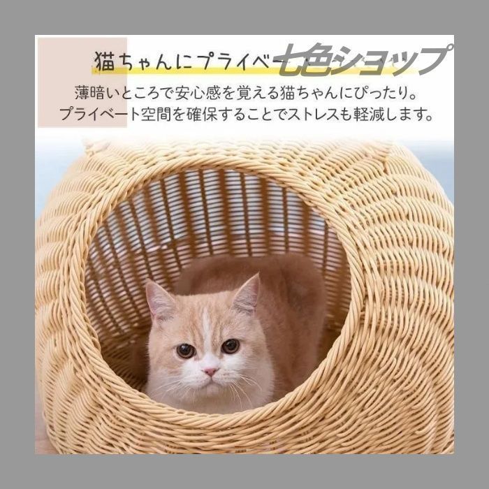 おしゃれ 猫