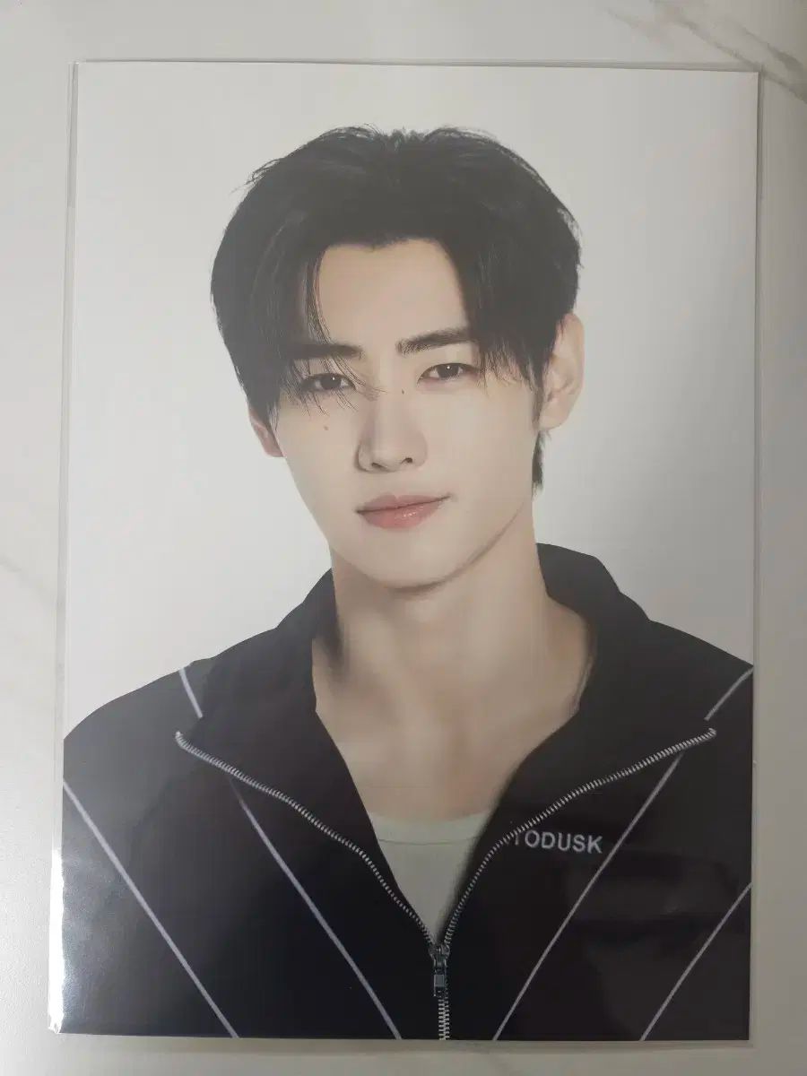 ENHYPEN WORLD 韓国 ポップアップ SPカード トレカ ソンフン