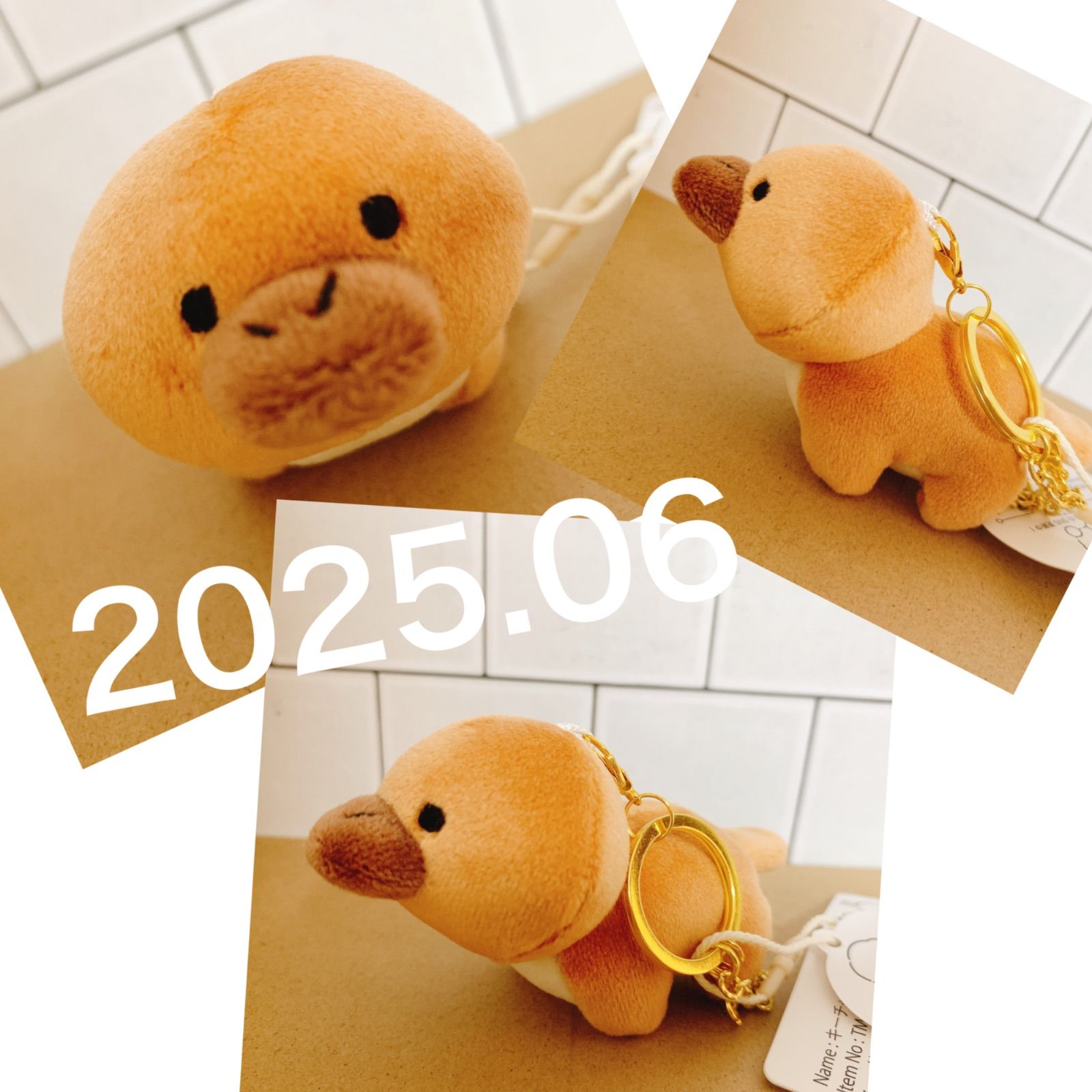 プラッシュフレンズ カモノハシ キーリング キーホルダー ぬいぐるみ 2025年最新】プラッシュ カモノハシの人気アイテム - メルカリ