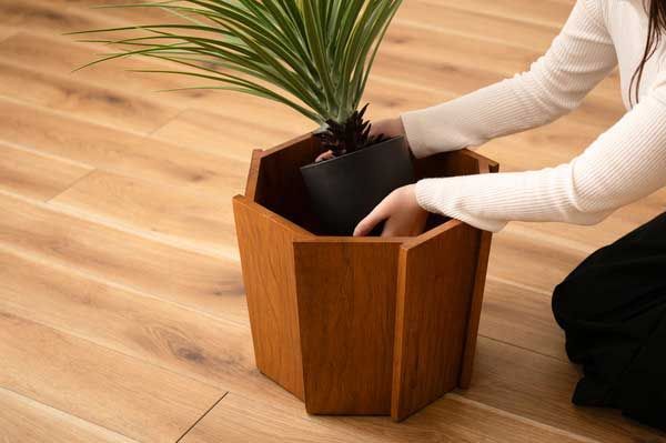 八角形デザイン