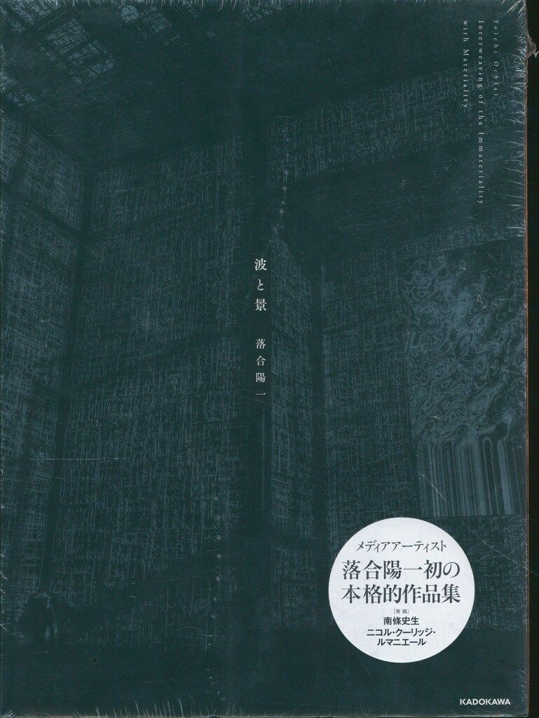 未使用】直筆サイン入り 落合陽一 写真集 波と景 波と景｜