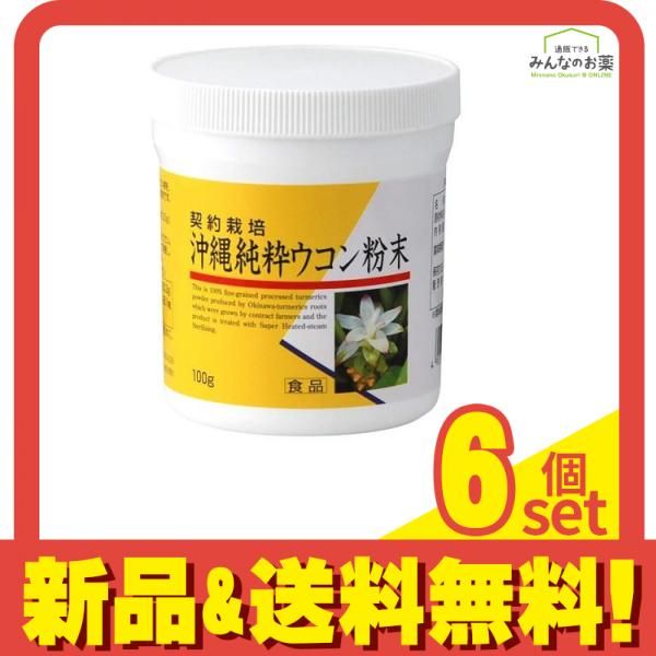 ユニマットリケン 沖縄純正ウコン粉末 100g 6個セット まとめ売り