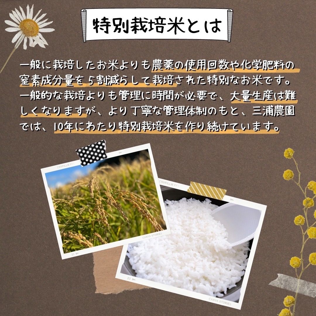 【令和6年・減農薬・特別栽培米】ゆめぴりか  10kg 北海道蘭越産