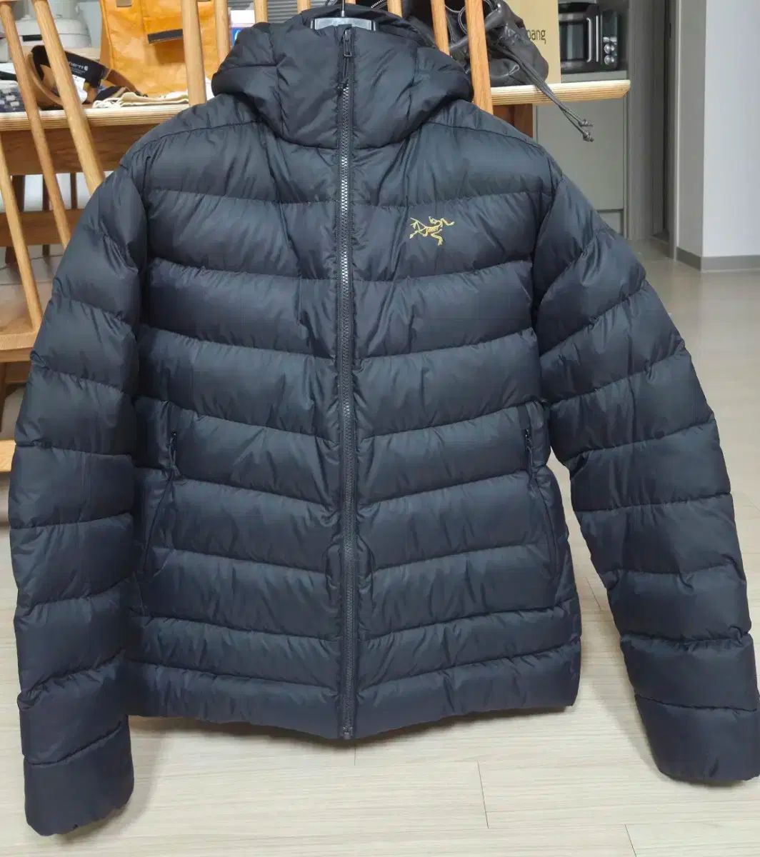 Lサイズ ARC TERYX アークテリクス トーラム AR フーディー 24 K ブラック 29926