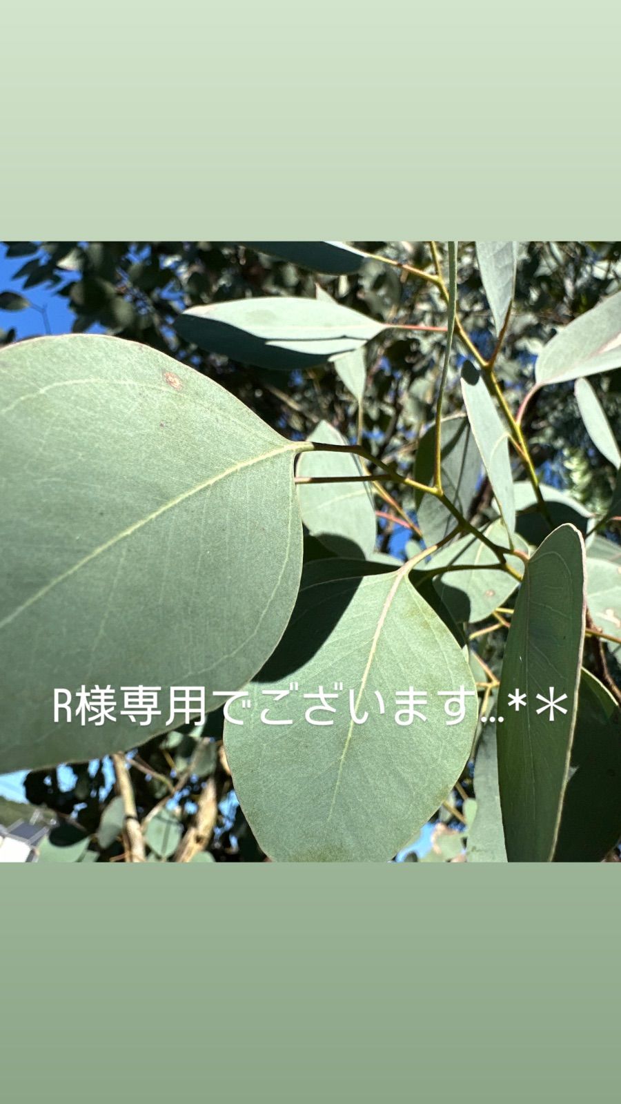 R様 でございます…*＊