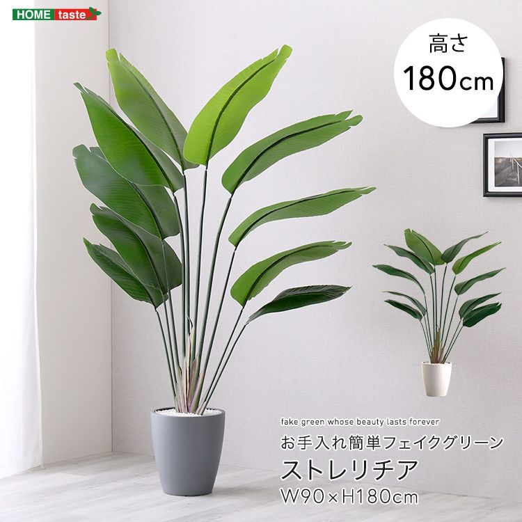 お手入れ簡単フェイクグリーン ストレリチア Lサイズ 2801