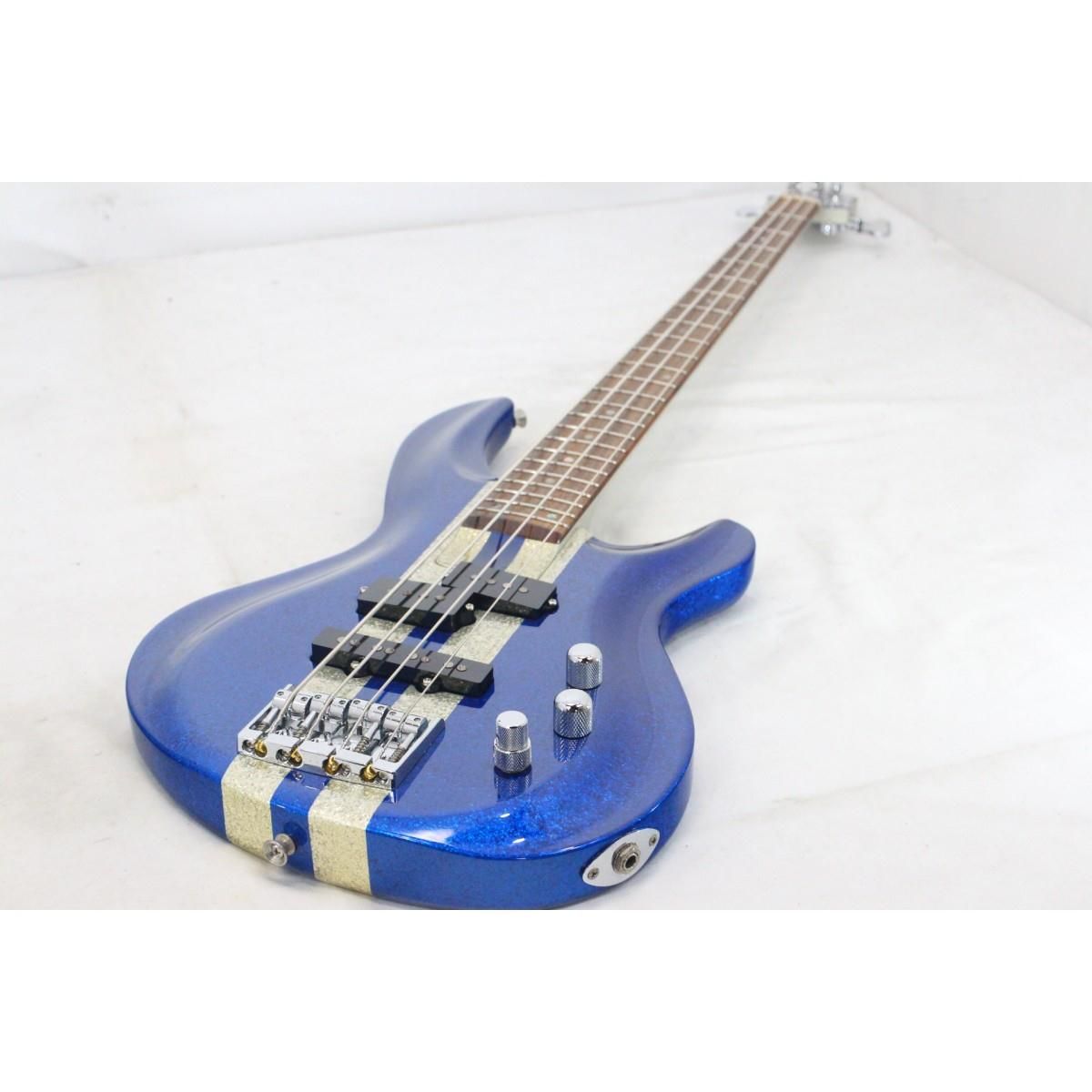 ＡＲＩＡ ＰＲＯ ＩＩ ＩＧＢ ＲＣ WWW_TRAVELLANDINDIA_COM