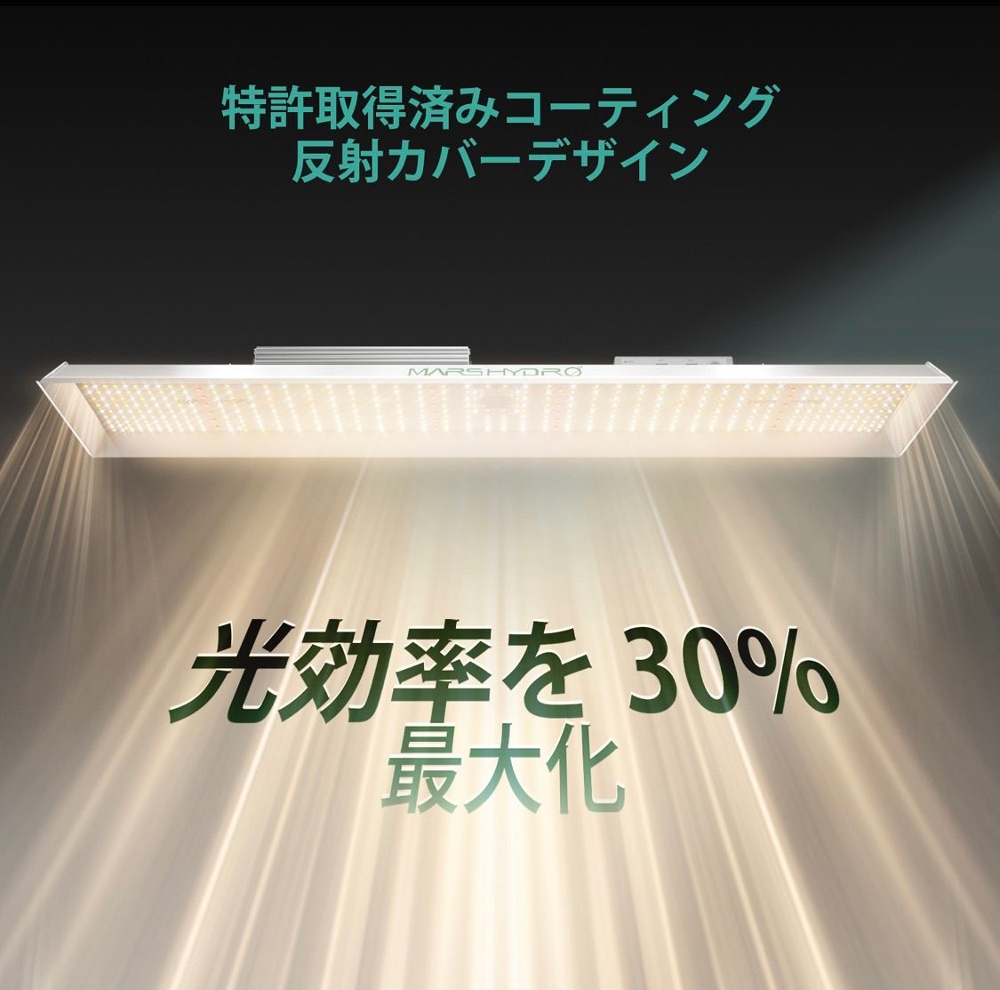 新型TSL-2000 マーズハイドロ