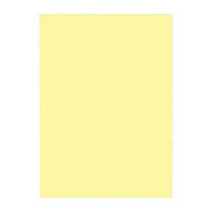 リンテック ニューカラーＲ 4 NCR-134 ライトイエロー