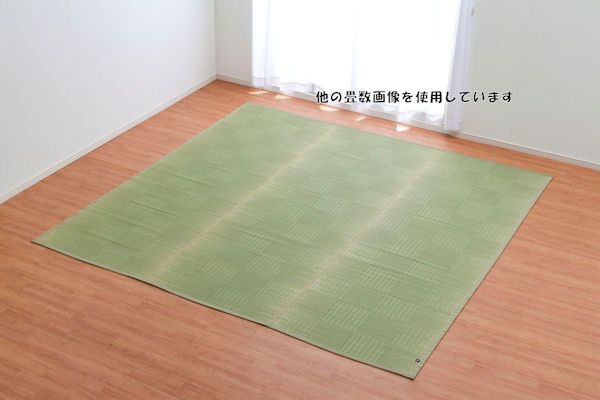 純国産い草上敷きカーペット 格子柄 江戸間6畳 ラグ（841） 【公式通販】