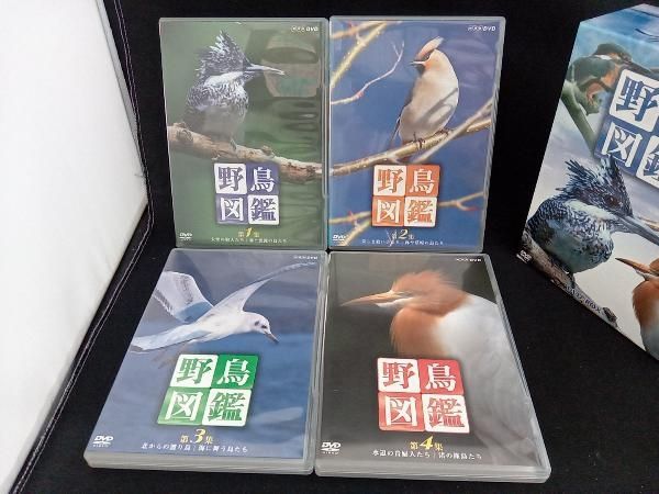 新 野鳥図鑑 DVD-BOX 全4枚セットNHKスクエア限定商品 野鳥図鑑 DVD-