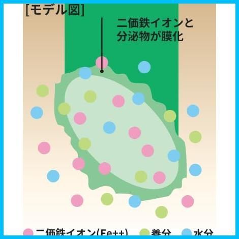 【数量限定】植物活力剤 栄養剤 2L メネデール 植物を元気に育てる 花から野菜から植木まで 100倍希釈 1955年発売