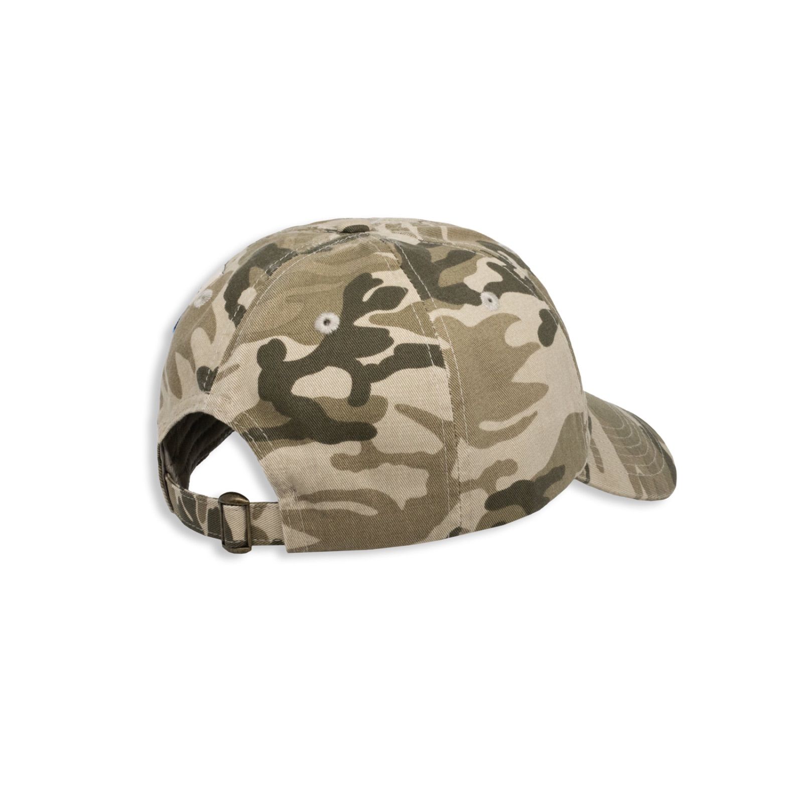 LTTT camo Metallic Cap