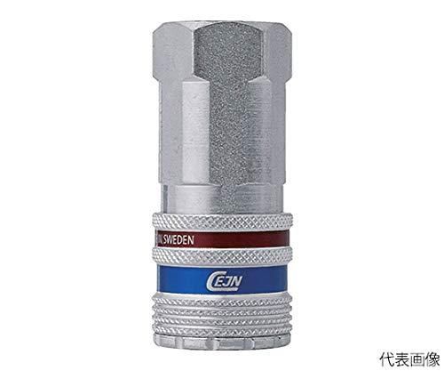 2営業日で発送 セインジャパン セイン シリーズ430 eSafe カップリング NPT3 4 メネジ
