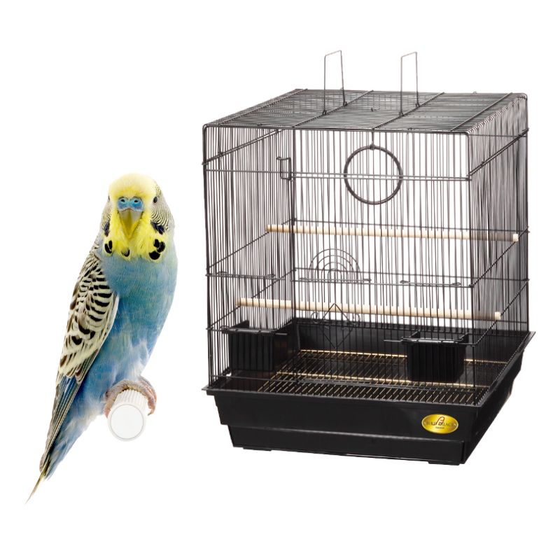 送料無料】マルカン バードパレス キング 小鳥 鳥かご 多頭飼い