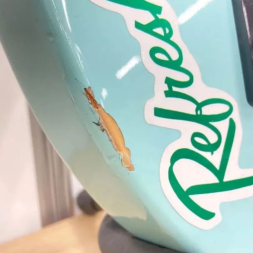 Fernandes zo-3 ライトブルー FERNANDES ZO-3 ライトブルー アンプ内蔵 ギター - メルカリ