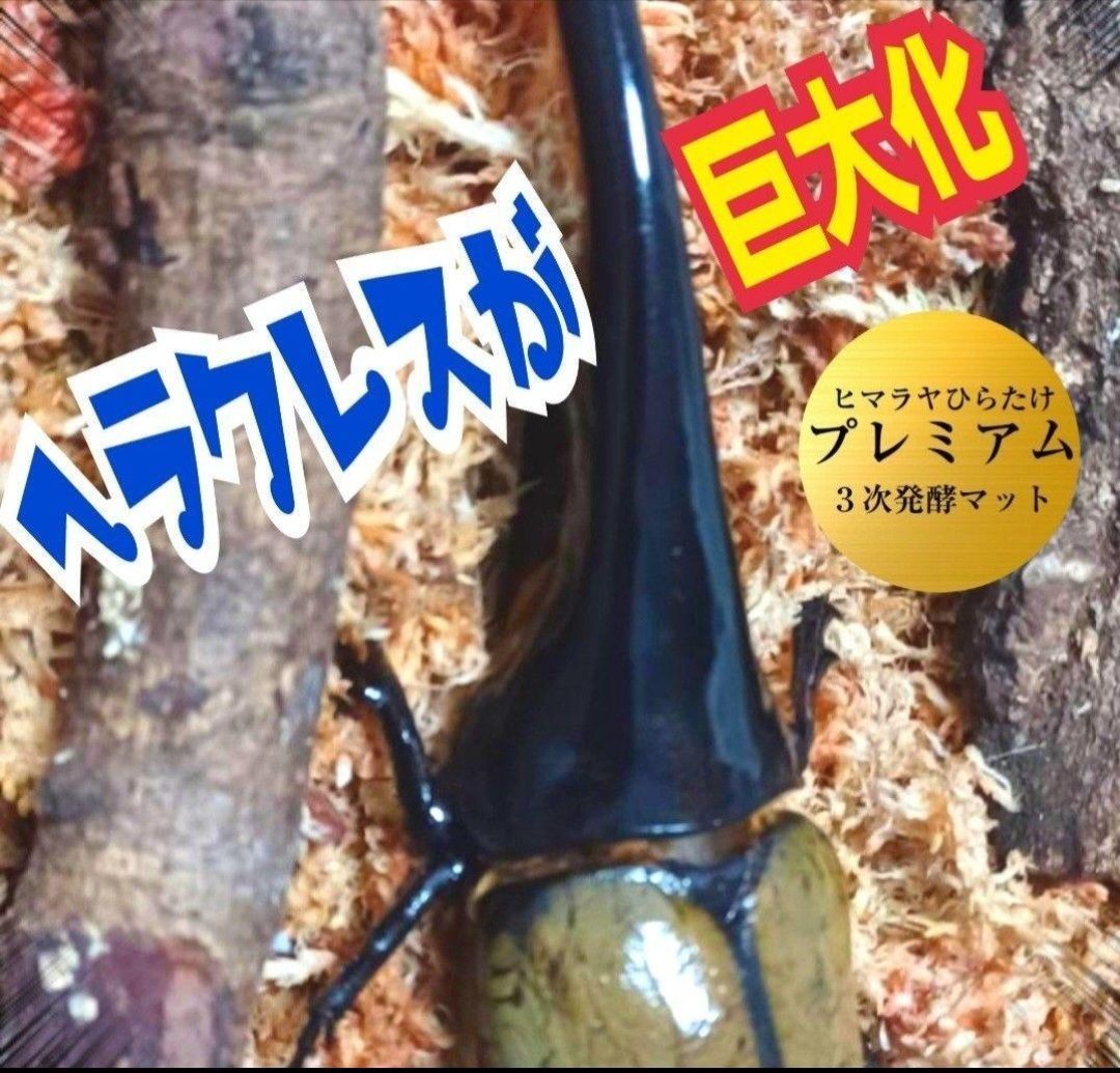 カブトムシ幼虫が大きくなる！プレミアム3次発酵マット【20リットル