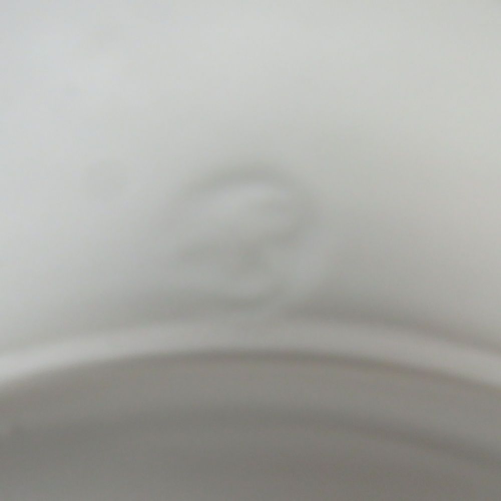 中皿 22cmプレート