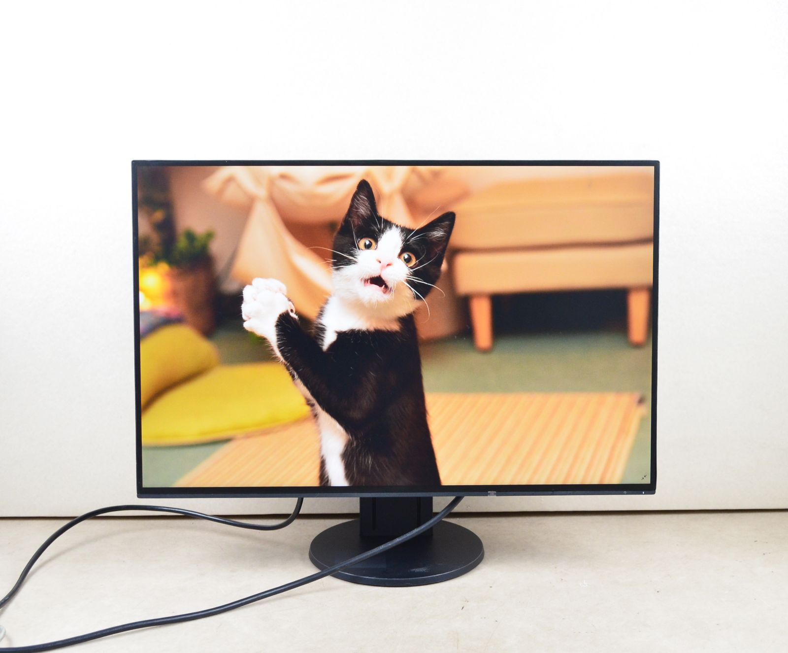 超狭額ベゼル EIZO EV2456 24.1型ワイド WUXGA HDMI IPSパネル 回転 スピーカー内蔵 LED ディスプレイ