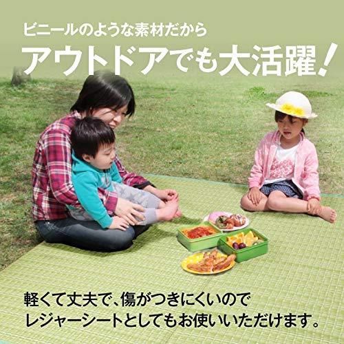 傷がつきにくく引っ掻き傷にも強い丈夫なPP素材で作ったカーペット 水こ