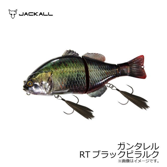 完動】CONTAX コンタックス ST ＆バッテリーホルダP7/ カタログ