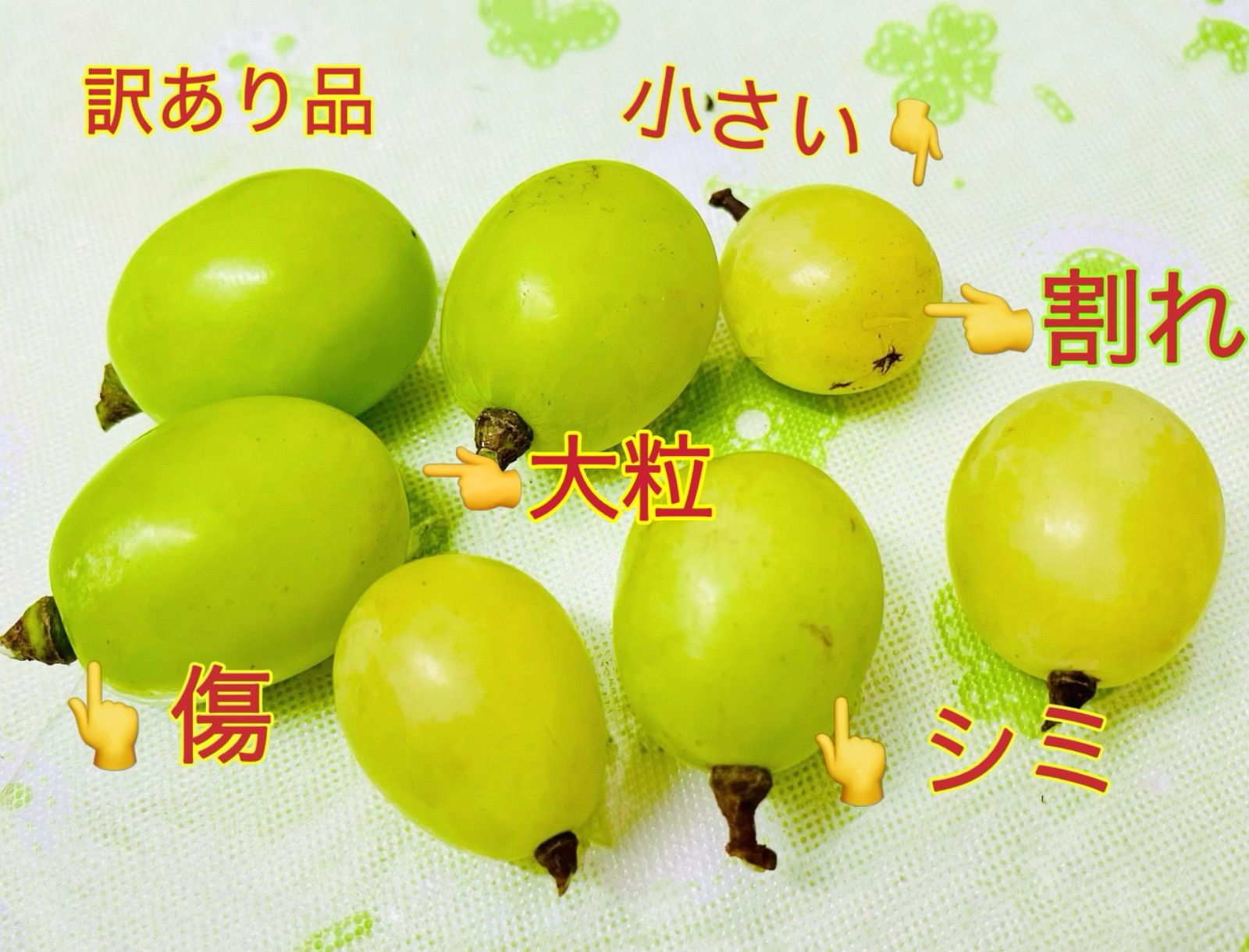 岡山シャインマスカット無農薬粒だけ3kg高糖度完熟家庭用パリッと食感とにかく甘い 岡山シャインマスカット無農薬粒だけ3kg高糖度完熟家庭用