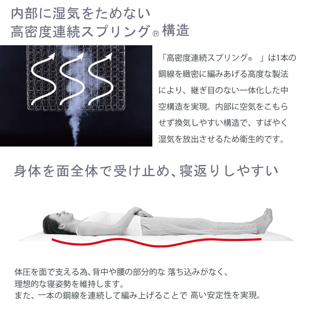 セミダブル