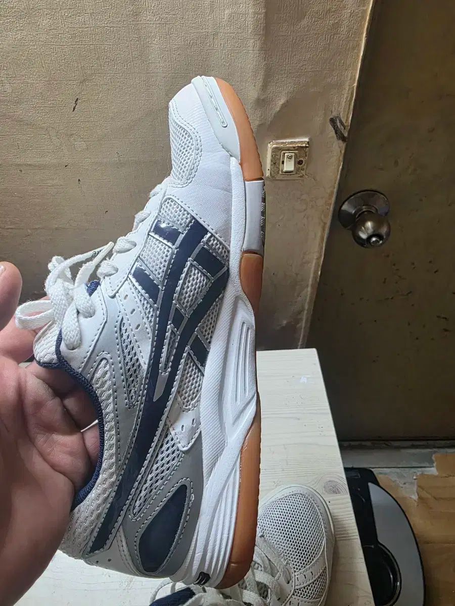 5 バレーボール