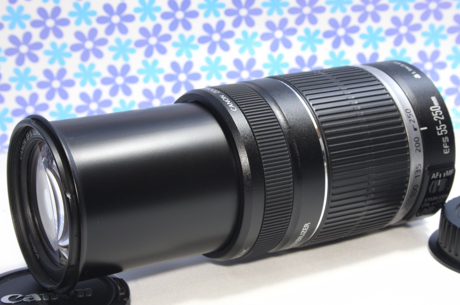 ❣動く被写体もブレずに撮影❣Canon EF-S 55-250mm IS❣美品❣ ❣動作良好❣Canon EF-S 55-250mm IS STM❣望遠レンズ