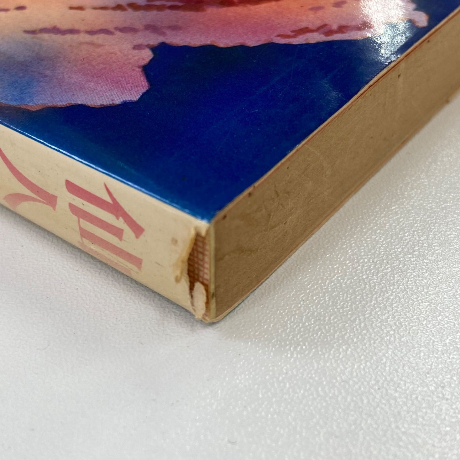 【中古】 仙人瞑想法/大陸書房/高藤聡一郎 仙人瞑想法 / 高藤 聡一郎 / 大陸書房 【送料無料】【中古