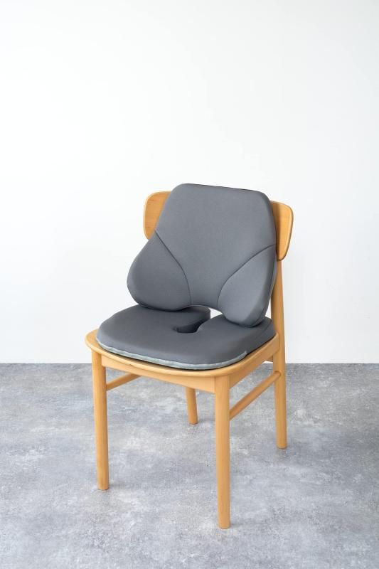 エクスジェル ザ・アウル スタンダード 座布団 クッション ブラウン