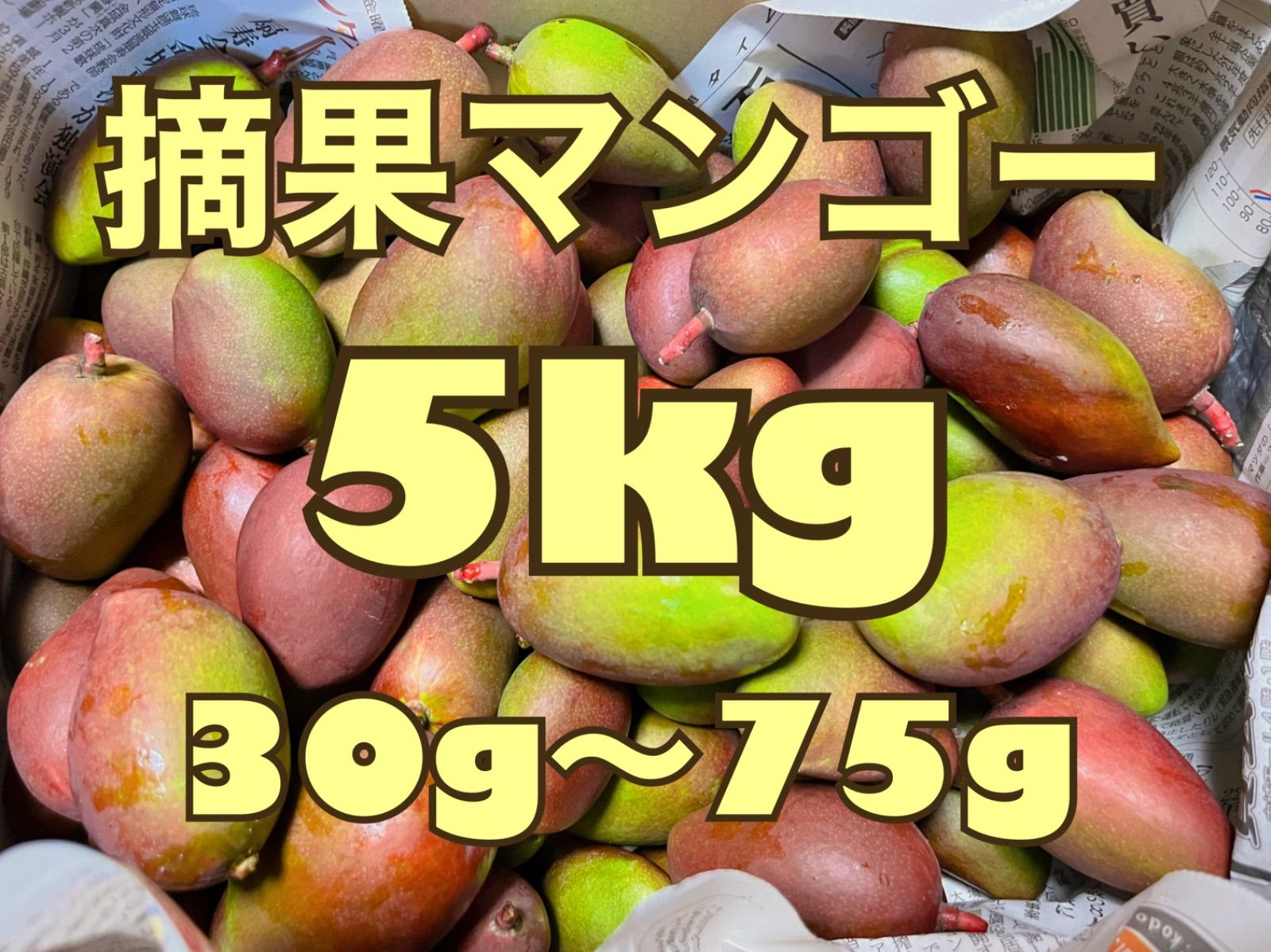 沖縄県産　摘果マンゴー　青マンゴー　5kg