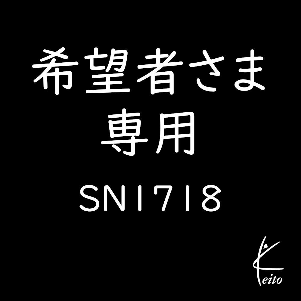 希望者さま 商品SN1718