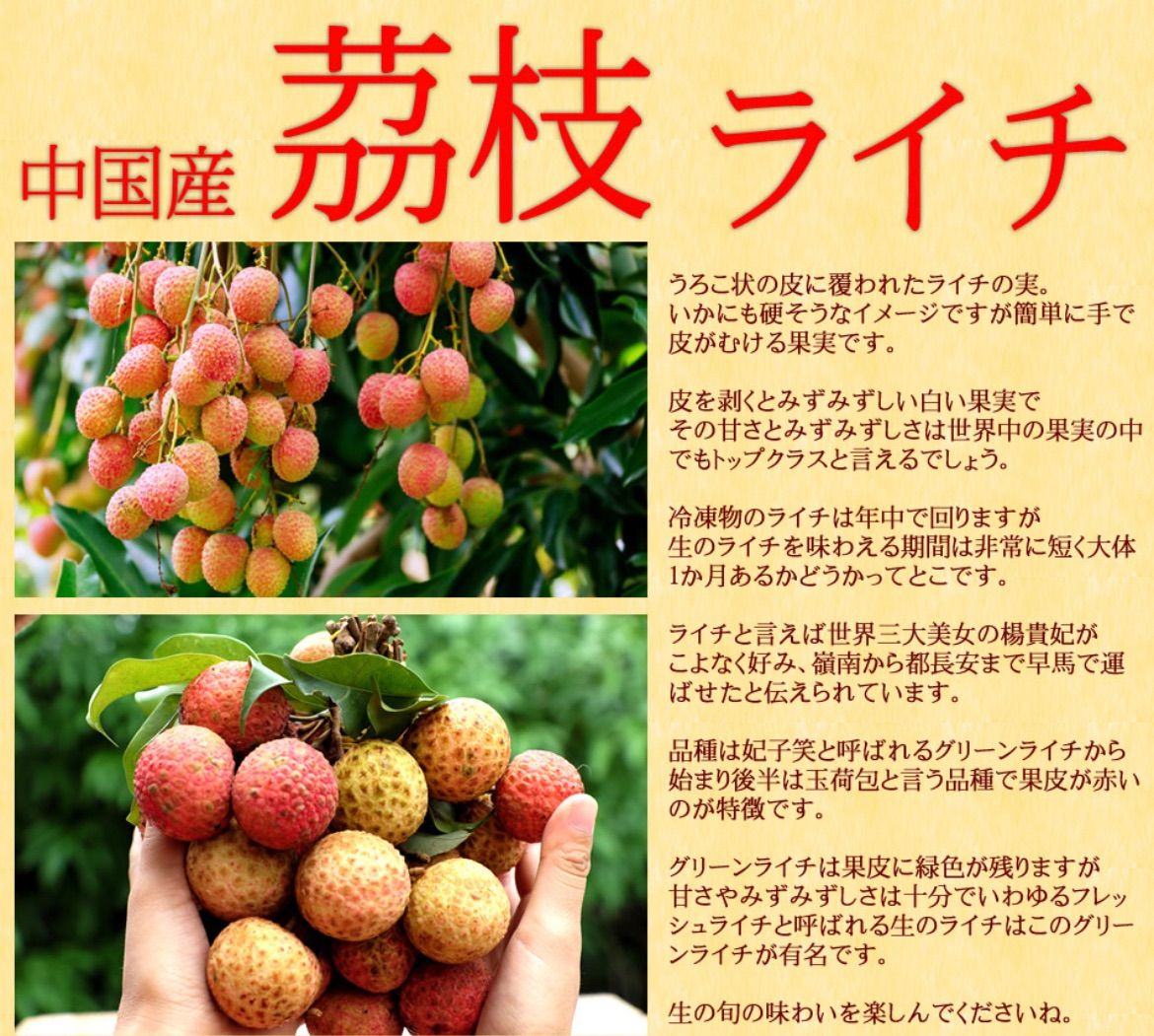 のサムネイル