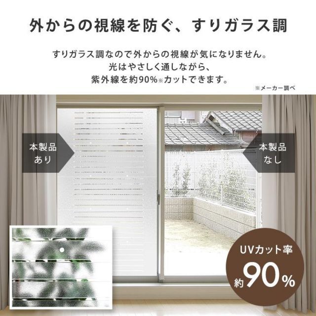 12枚入り