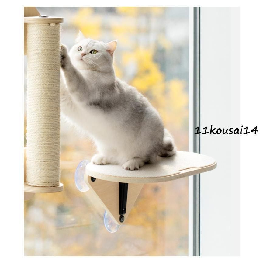 10kg