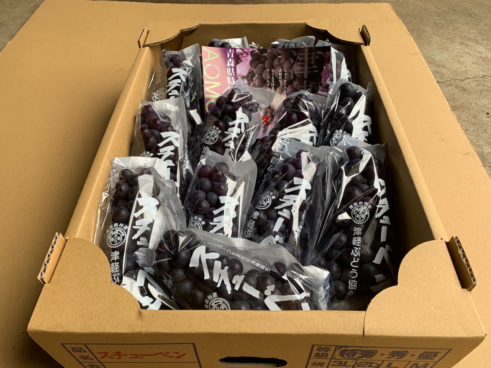 クール便 秀 青森県津軽地方産ぶどう つるたスチューベン 約１０キロ ご家庭用 ご贈答用