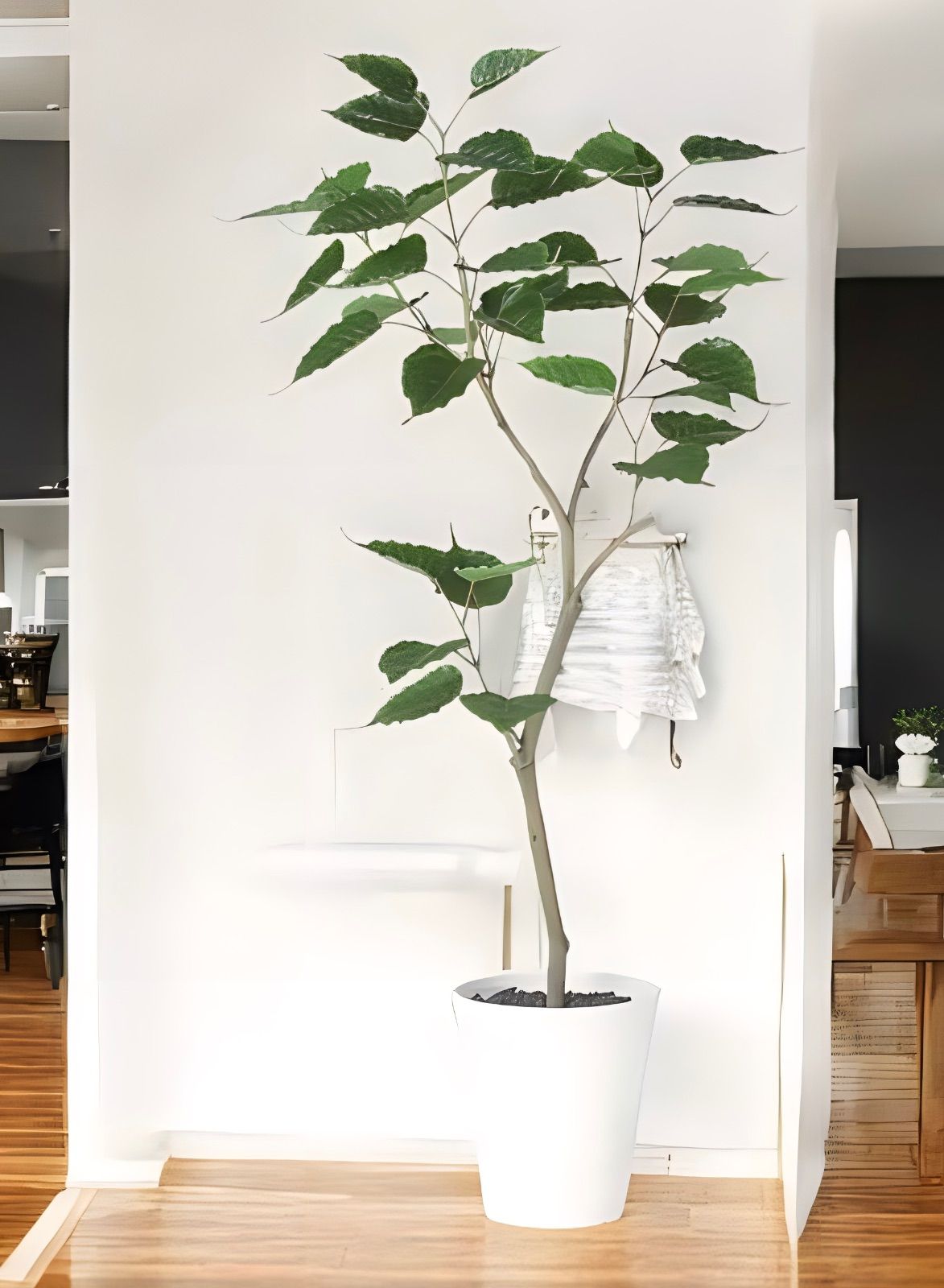 光触媒 人工観葉植物 ウォールグリーン フェイクグリーン インド