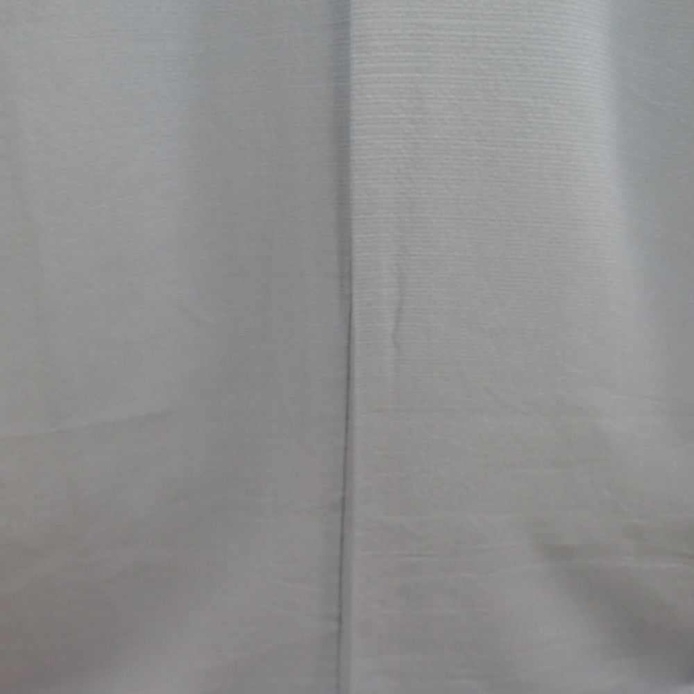 夏着物 色無地 絽 伊と幸 バチ衿 正絹 ブルーグレー 一つ紋 蔦紋 夏用