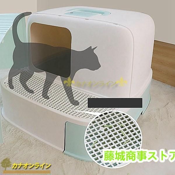 清潔