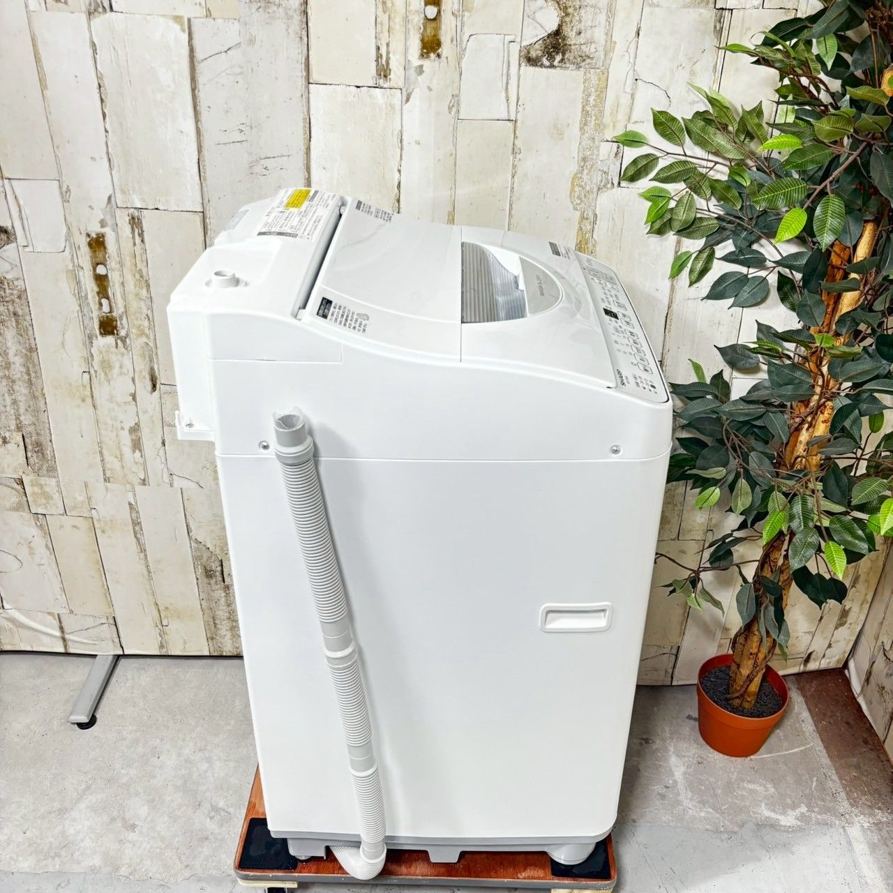 2023年製】SHARP シャープ ES-TX6G-S 洗濯機 6.5kg - メルカリ