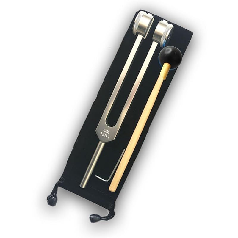 外国切手ハワイ 古切手 Provisional Gov't 1882加刷　未使用 外国切手 アメリカハワイ古切手1882 Provisional 加刷 切手未