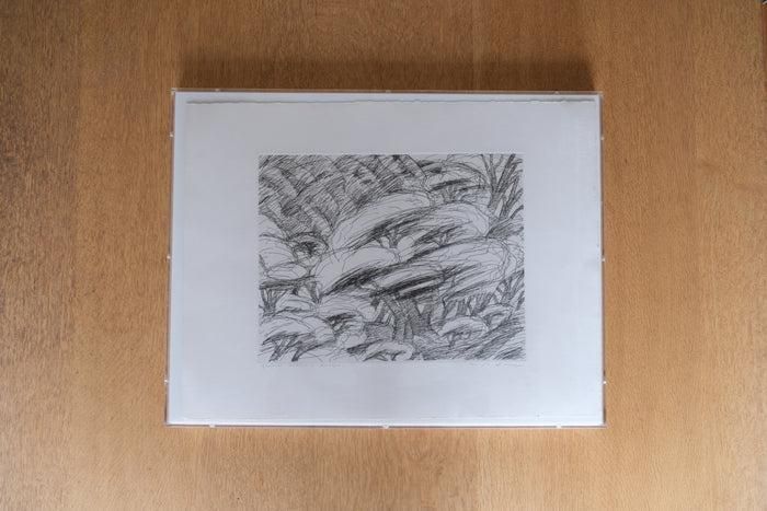 銅版画 ミケーレ デ ルッキ サイン入