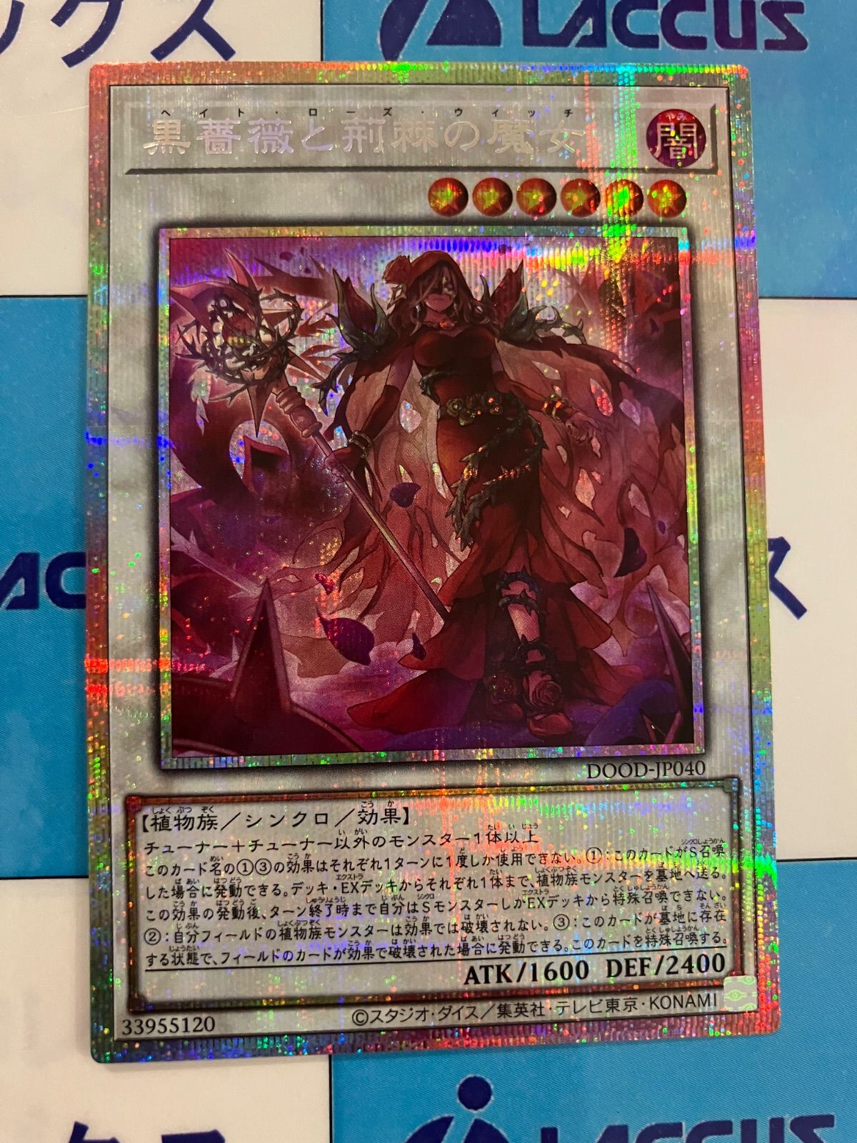 遊戯王　黒薔薇と荊棘の魔女　プリズマティックシークレット　3枚 黒薔薇と荊棘の魔女【プリズマティックシークレット】{DOOD